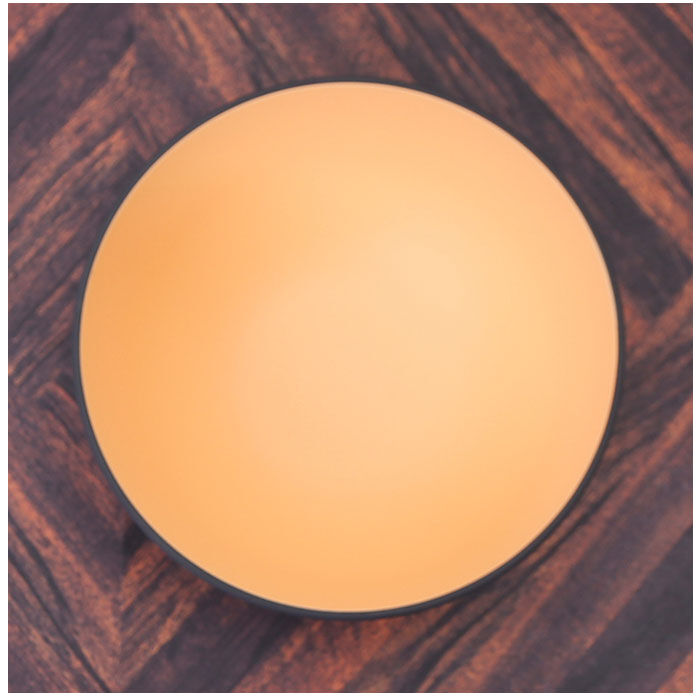 BACKYARD FAMILY「TONES NA マルチボウル 通販 どんぶり ボウル 丼 皿 食器 食洗機対応 レンジ 樹脂製」|食器・キッチングッズ|