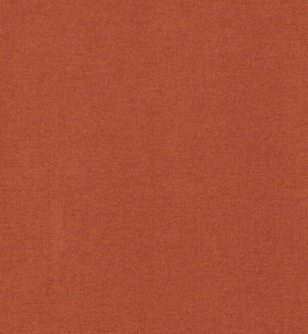 MACPHEE「シルキージャージー ハーフスリーブプルオーバー」|Tシャツ・カットソー|