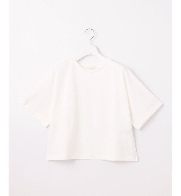 自由区「【洗える】ハイカウントクロップド丈 カットソー」|Tシャツ・カットソー|