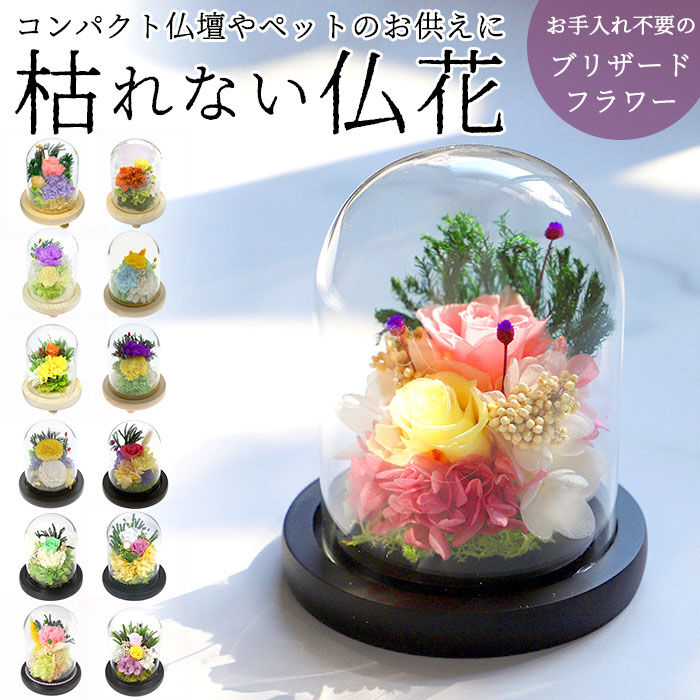 BACKYARD FAMILY「プリザーブドフラワー ガラスドーム 通販 仏花 仏壇用 ブリザードフラワー プリザードフラワー」|その他|
