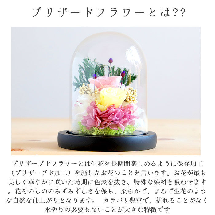 BACKYARD FAMILY「プリザーブドフラワー ガラスドーム 通販 仏花 仏壇用 ブリザードフラワー プリザードフラワー」|その他|