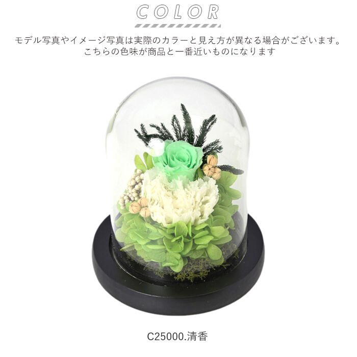 BACKYARD FAMILY「プリザーブドフラワー ガラスドーム 通販 仏花 仏壇用 ブリザードフラワー プリザードフラワー」|その他|