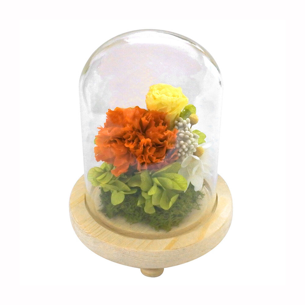 BACKYARD FAMILY「プリザーブドフラワー ガラスドーム 通販 仏花 仏壇用 ブリザードフラワー プリザードフラワー」|その他|その他5