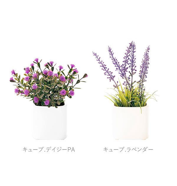 BACKYARD FAMILY「光触媒 観葉植物 通販 フェイクグリーン ミニ インテリアグリーン リアル 小さめ おしゃれ」|その他|