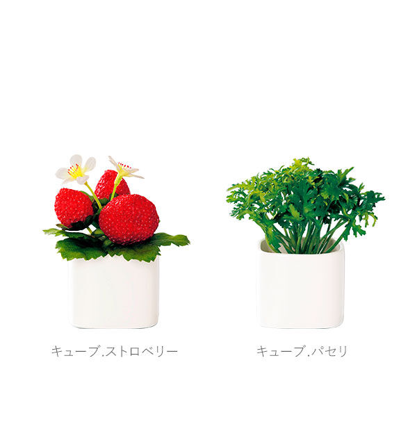 BACKYARD FAMILY「光触媒 観葉植物 通販 フェイクグリーン ミニ インテリアグリーン リアル 小さめ おしゃれ」|その他|