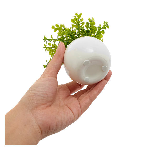 BACKYARD FAMILY「光触媒 観葉植物 通販 フェイクグリーン ミニ インテリアグリーン リアル 小さめ おしゃれ」|その他|