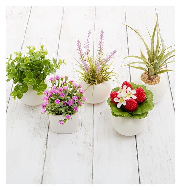 BACKYARD FAMILY「光触媒 観葉植物 通販 フェイクグリーン ミニ インテリアグリーン リアル 小さめ おしゃれ」|その他|