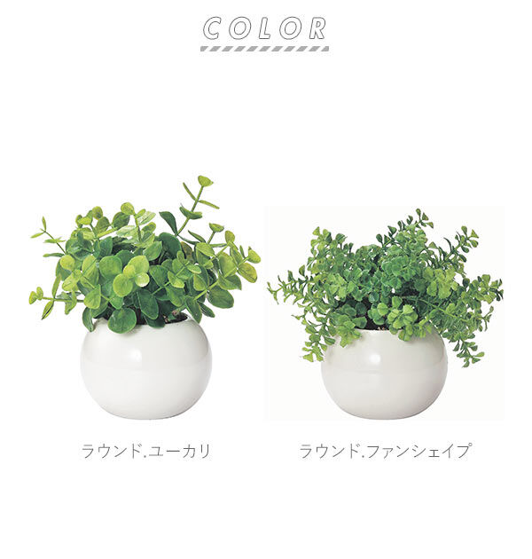BACKYARD FAMILY「光触媒 観葉植物 通販 フェイクグリーン ミニ インテリアグリーン リアル 小さめ おしゃれ」|その他|