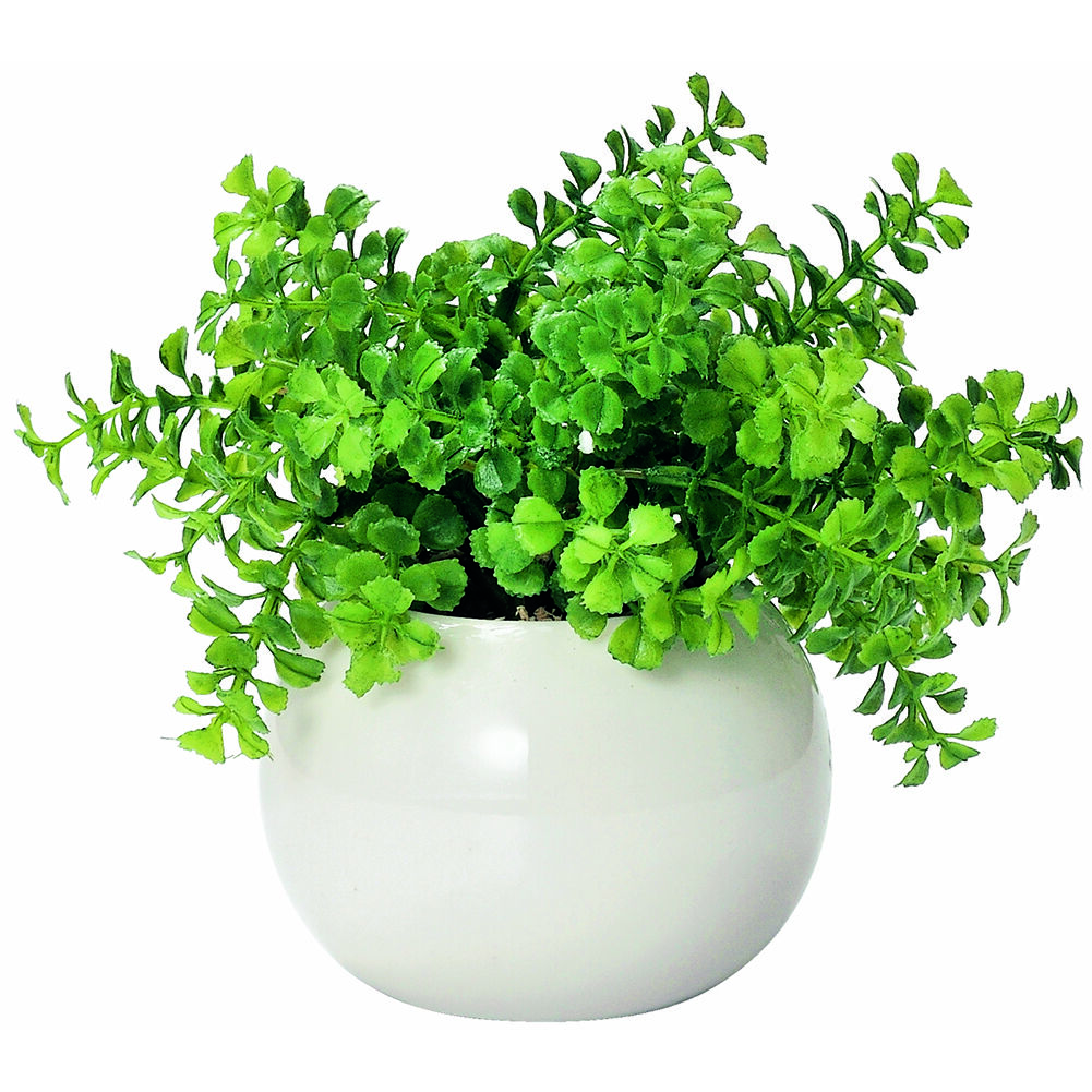 BACKYARD FAMILY「光触媒 観葉植物 通販 フェイクグリーン ミニ インテリアグリーン リアル 小さめ おしゃれ」|その他|グリーン2