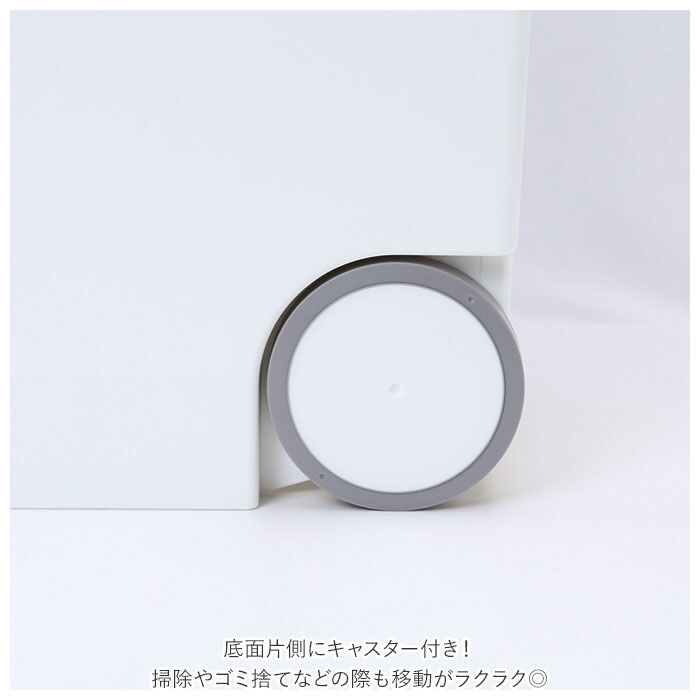 BACKYARD FAMILY「キッチン ゴミ箱 ペダル 33L 通販 ごみ箱 スリム 分別 ペダル式ゴミ箱 低く開く」|ダストボックス|