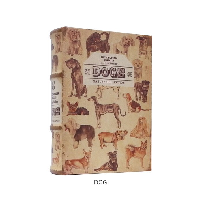 BACKYARD FAMILY「洋書 隠し エンプティブックボックス 通販 エンプティブックボックス 箱 本 小物入れ」|その他|