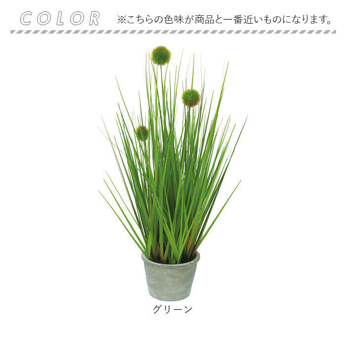 BACKYARD FAMILY「観葉植物 フェイク 大型 通販 フェイクグリーン ポンポングラス アーティフィシャルグリーン」|その他|