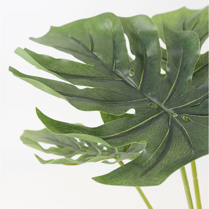 BACKYARD FAMILY「光触媒 人工観葉植物 通販 フェイクグリーン インテリアグリーン イミテーショングリーン」|その他|