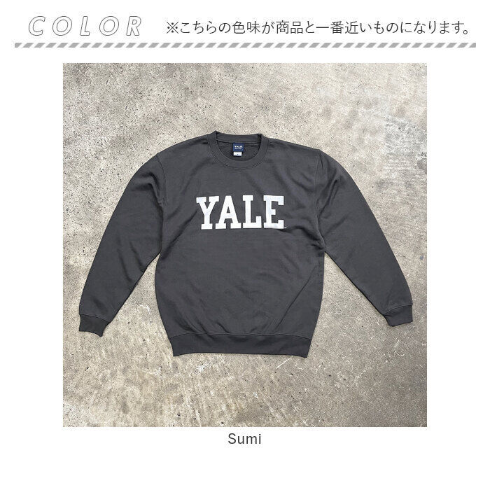 BACKYARD FAMILY「トレーナー メンズ 通販 スウエット 両面フ゜リント 男性 長袖 カジュアル おしゃれ かわいい」|その他|