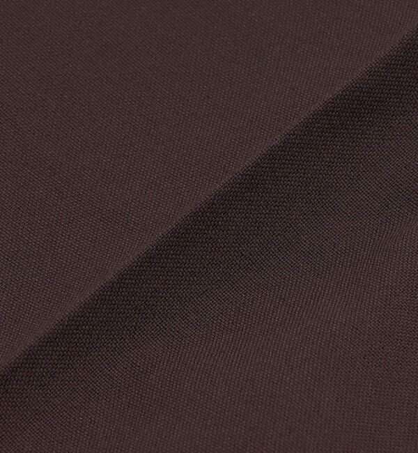 SHIPS「【SHIPS別注】Dickies: ダブルニー ホップサック パンツ」|チノ|