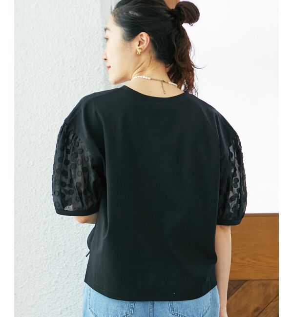  「TORRAZZO DONNAドット切替カットソー」|Tシャツ・カットソー|