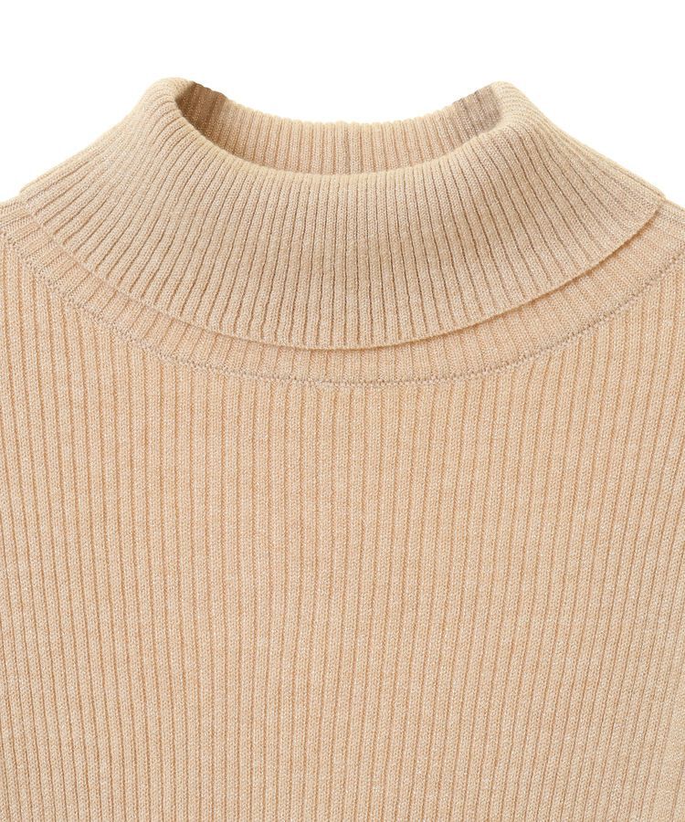 earth music&ecology「ラメタートルネックニットプルオーバー」|ニット・セーター|