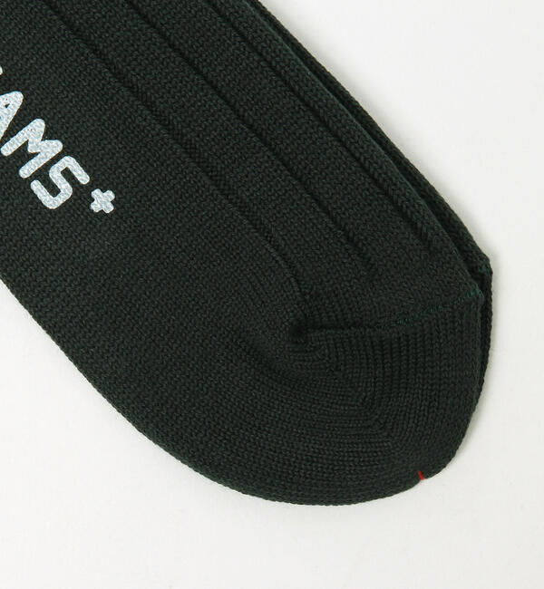 BEAMS PLUS「BEAMS PLUS / ソリッド リブソックス」|ソックス|