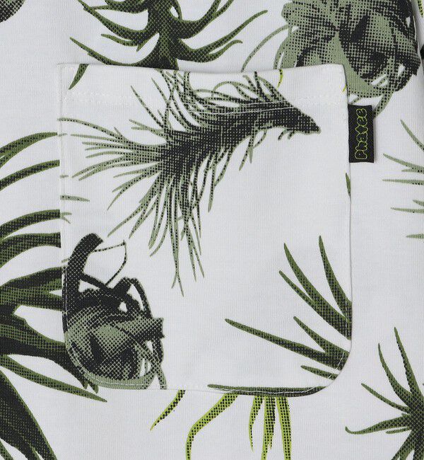 SHIPS any「【SHIPS any別注】Phatee: オーガニックコットン パターン プリント スピンドル ポケット Tシャツ◇」|Tシャツ・カットソー|