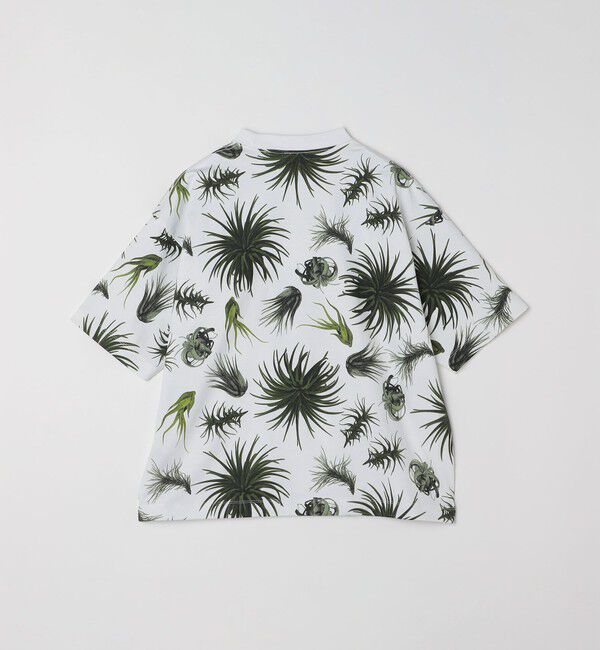 SHIPS any「【SHIPS any別注】Phatee: オーガニックコットン パターン プリント スピンドル ポケット Tシャツ◇」|Tシャツ・カットソー|