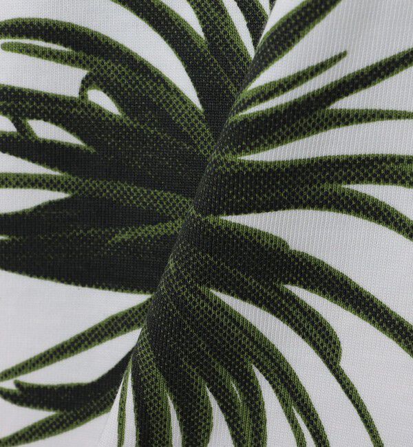 SHIPS any「【SHIPS any別注】Phatee: オーガニックコットン パターン プリント スピンドル ポケット Tシャツ◇」|Tシャツ・カットソー|