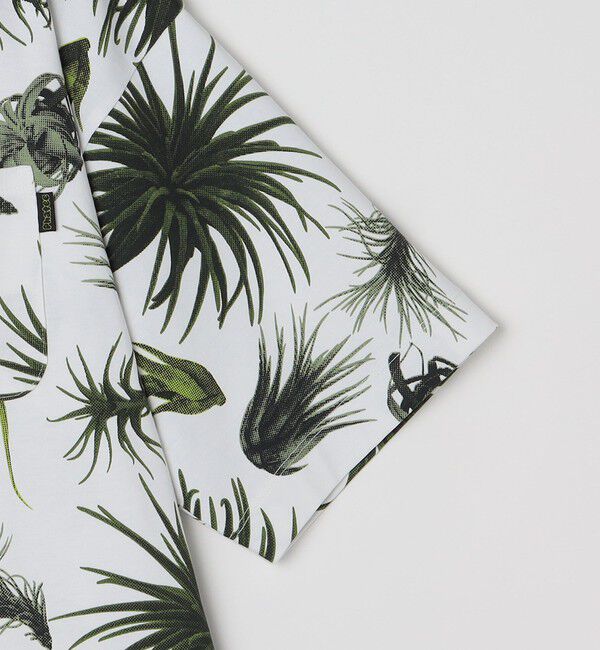 SHIPS any「【SHIPS any別注】Phatee: オーガニックコットン パターン プリント スピンドル ポケット Tシャツ◇」|Tシャツ・カットソー|