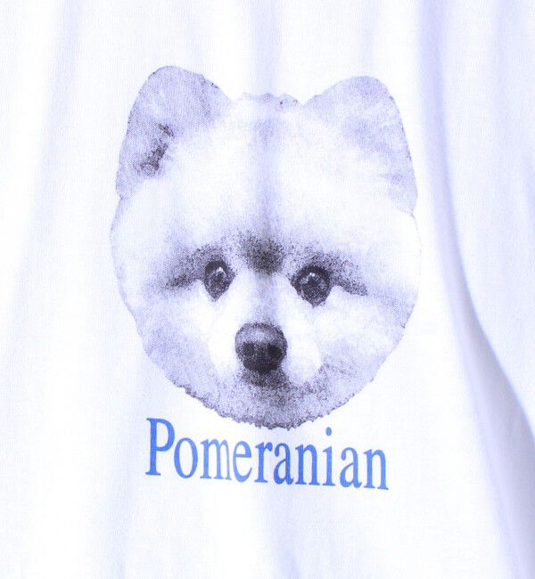 GLOSTER「【新柄追加】【GLOSTER/グロスター】DOG&CAT 犬猫プリントTシャツ」|Tシャツ・カットソー|