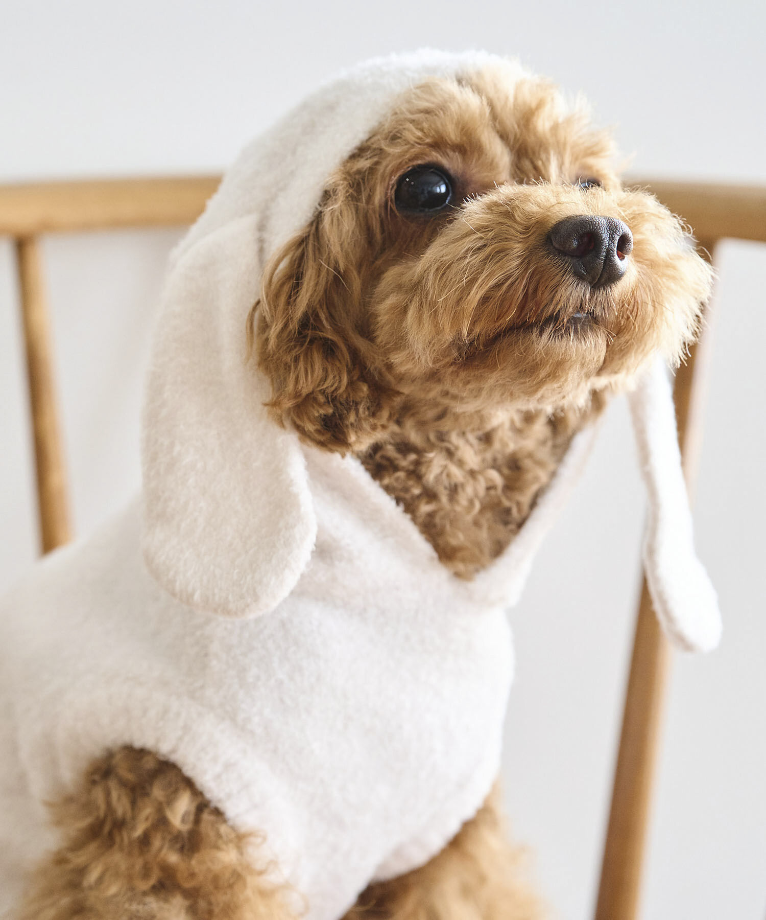 ROPE PICNIC PASSAGE「【DOG】ロップイヤーうさみみパーカー」|その他|