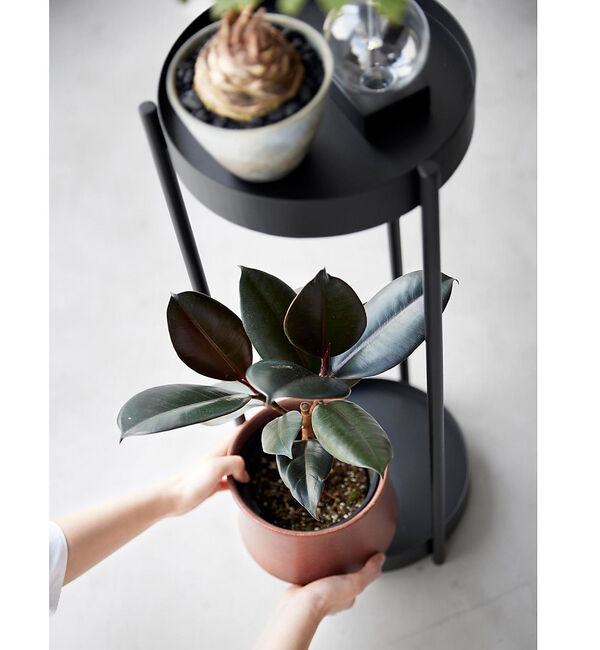 collex「【tower】 キャスター付きプランタースタンド 2段」|その他|