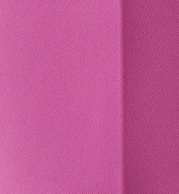 Rouge vif「【XSサイズ展開】4WAYストレッチスティックパンツ」|その他|