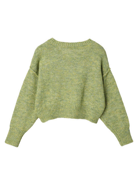 earth music&ecology「ヘアリーVネックショートニット」|ニット・セーター|