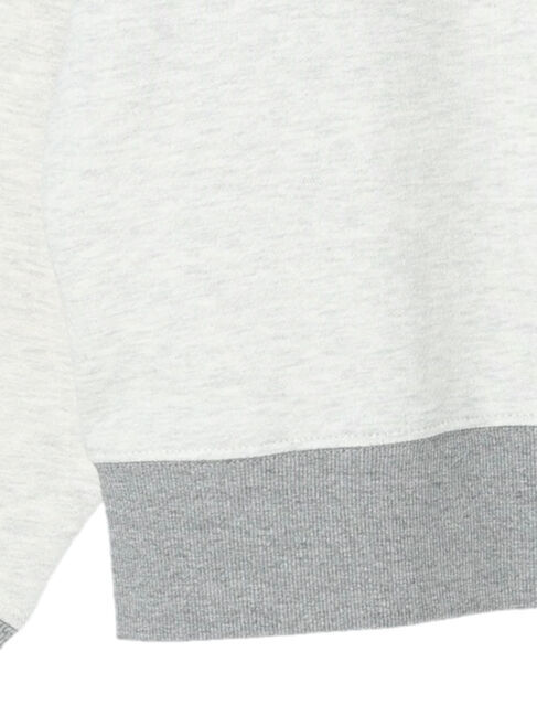  「ラグラン裏毛ロゴプルオーバー1」|Tシャツ・カットソー|