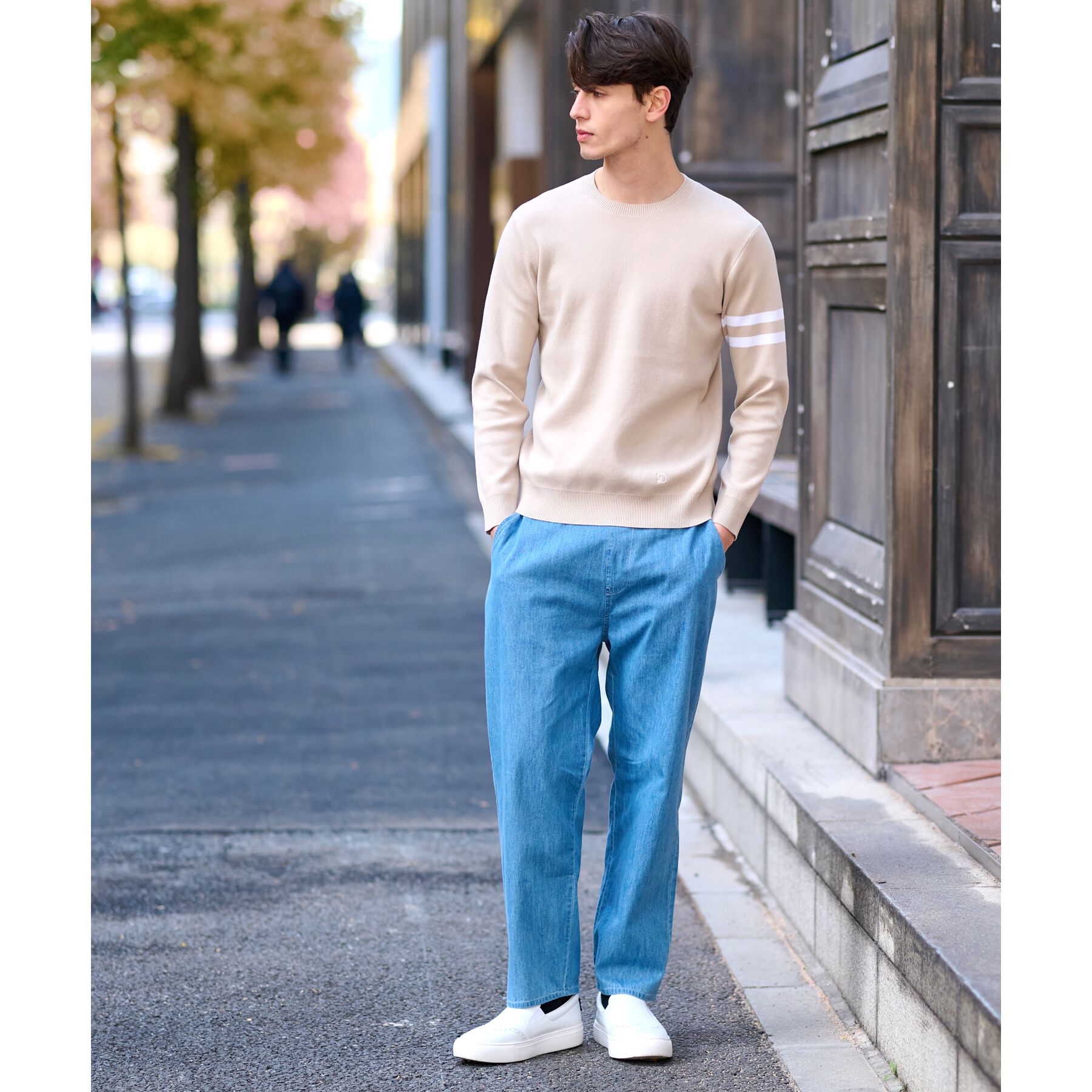 DRESSTERIOR「コットンスムース アームラインクルーネックニット」|ニット・セーター|