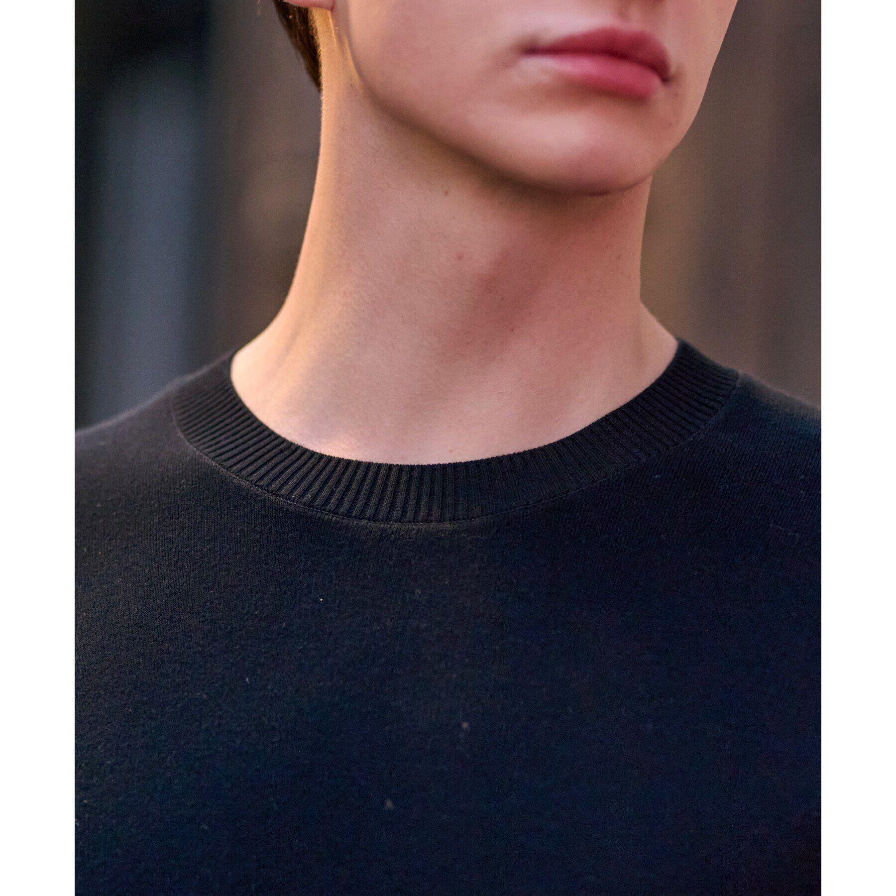 DRESSTERIOR「コットンスムース アームラインクルーネックニット」|ニット・セーター|