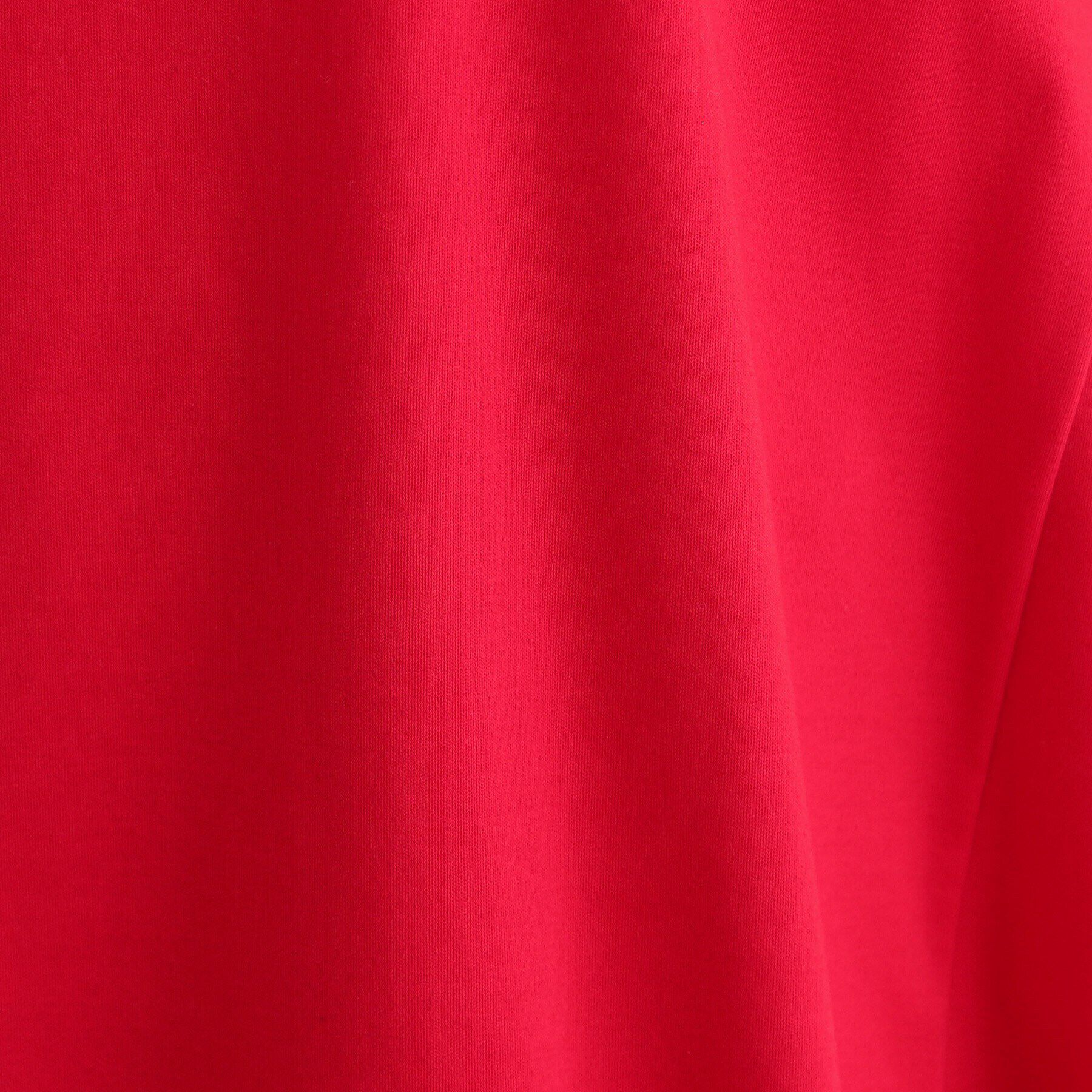 INDIVI「【洗える／キレイめ/日本製】バックフレア ロングTシャツ」|Tシャツ・カットソー|