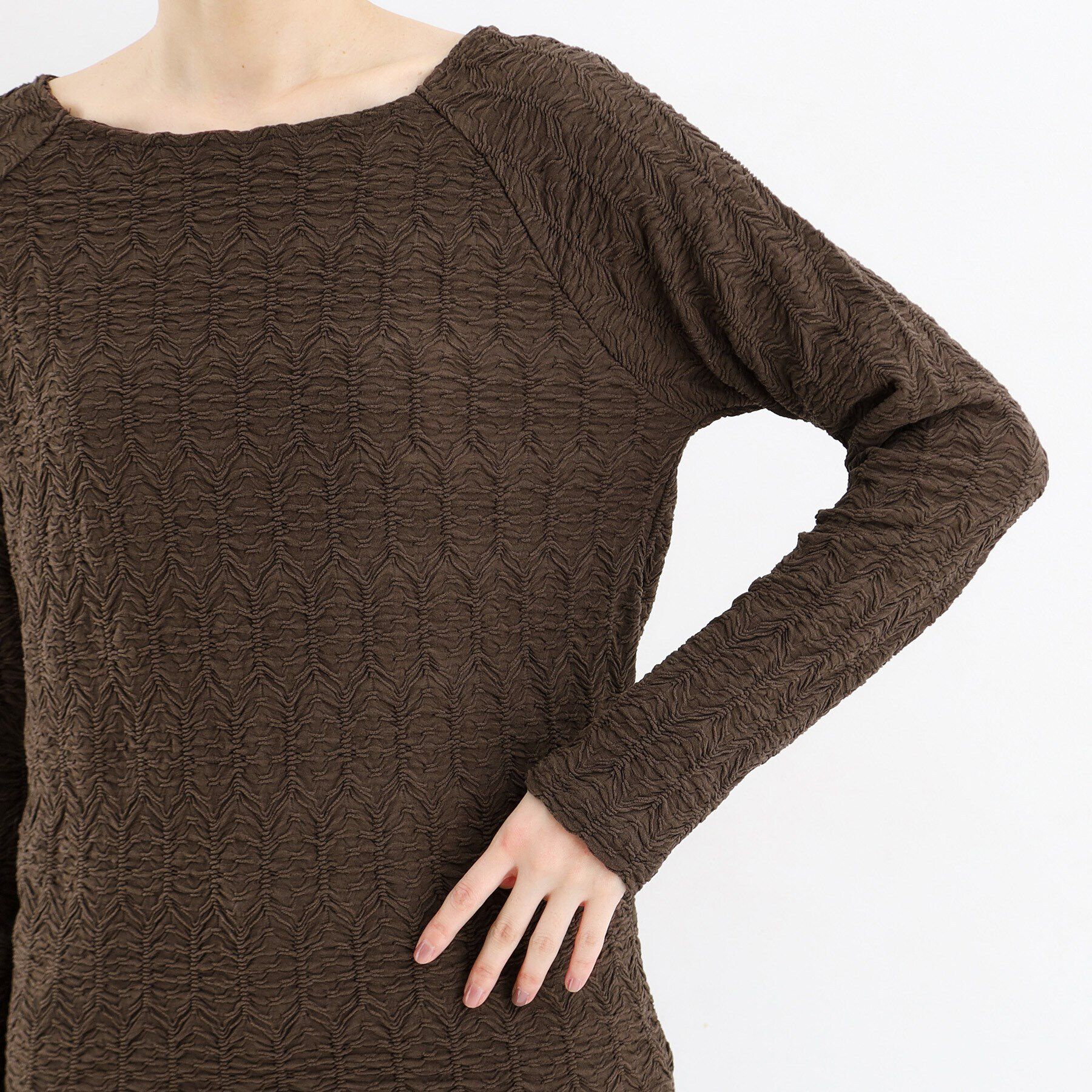 THE SHOP TK「【上品な透け感】ウェーブプルオーバー/洗濯機OK」|Tシャツ・カットソー|