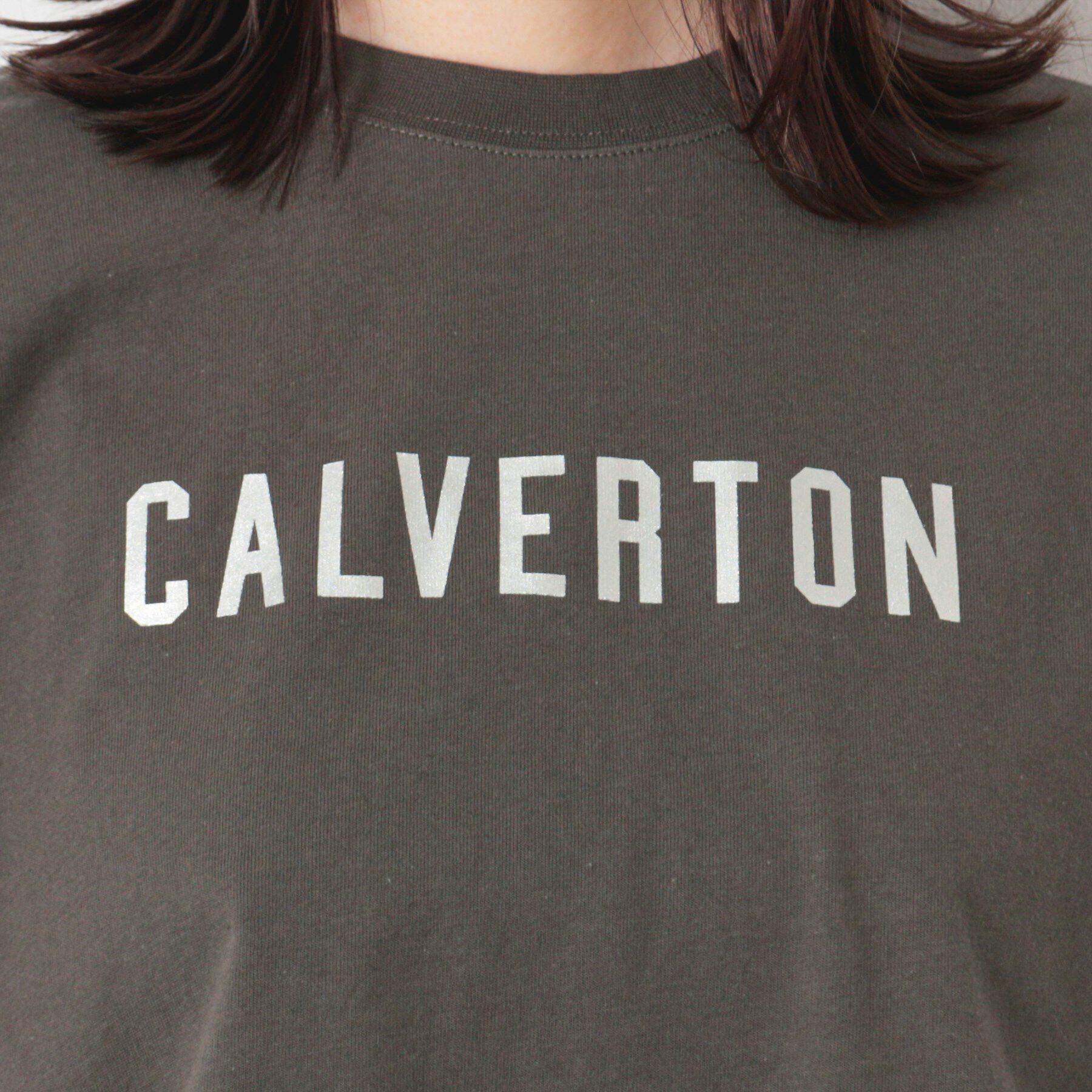 Dessin「【洗える】箔プリントチュニックTシャツ（XS～L）」|Tシャツ・カットソー|