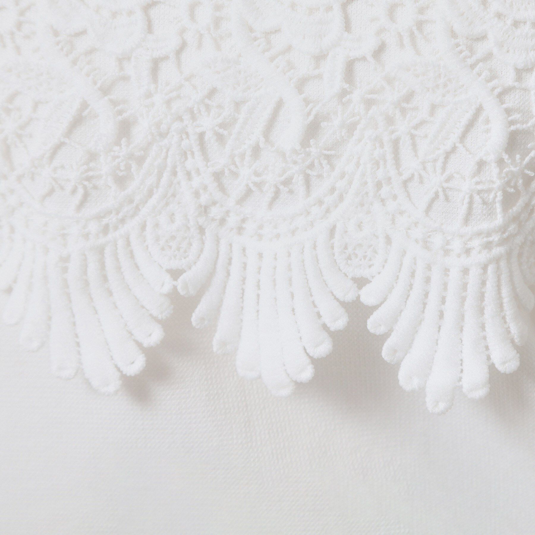 ITS&rsquo;DEMO「【吸水速乾／手洗い可／洗濯後しわになりにくい】カットミラノフロントレーストップス」|Tシャツ・カットソー|