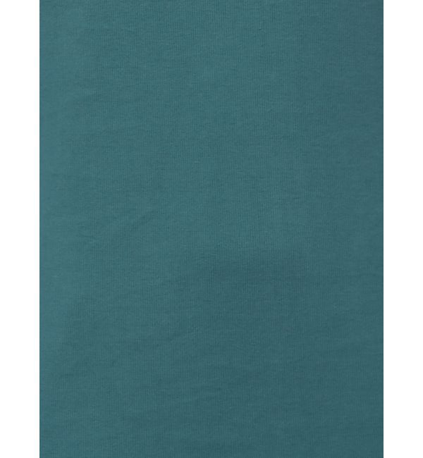 Ungrid「【WEB限定】フレアスリーブテレコフィットワンピース」|ワンピース|