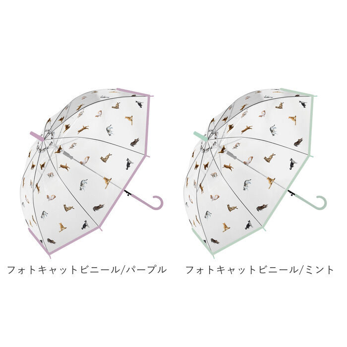 BACKYARD FAMILY「傘 レディース 透明 通販 60cm ビニール傘おしゃれ 雨傘 長傘 ワンタッチ傘 ジャンプ傘」|傘|