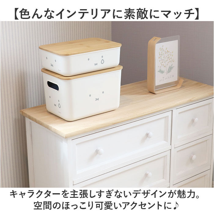 BACKYARD FAMILY「Dick Bruna ディックブルーナ 収納ケース キャラクター 通販 収納ボックス 収納」|その他|