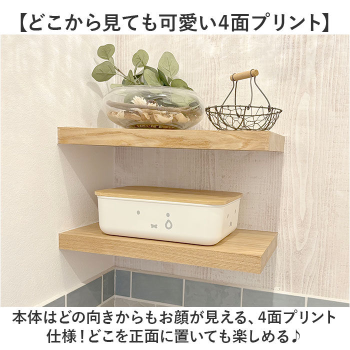 BACKYARD FAMILY「Dick Bruna ディックブルーナ 収納ケース キャラクター 通販 収納ボックス 小物収納」|その他|