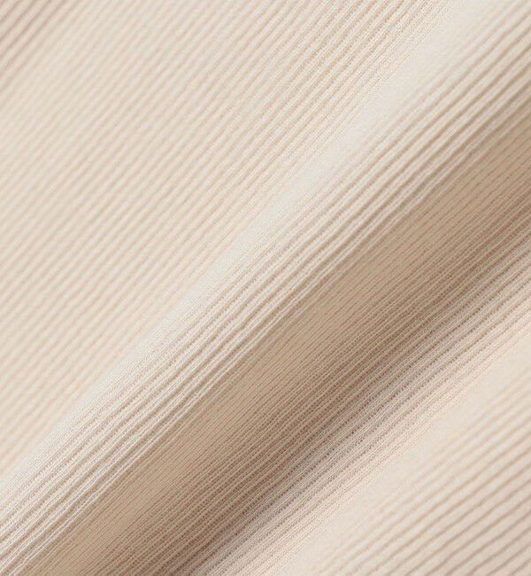 quaranciel「quaranciel:〈洗濯機可能〉 デリケート リブ シアー タートルネック」|Tシャツ・カットソー|