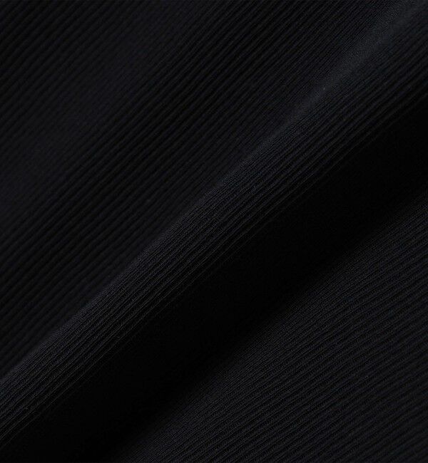 quaranciel「quaranciel:〈洗濯機可能〉 デリケート リブ シアー タートルネック」|Tシャツ・カットソー|