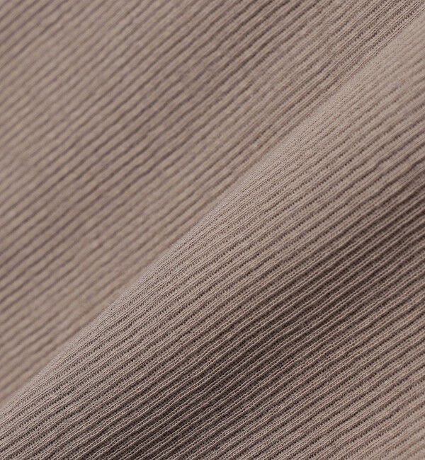 quaranciel「quaranciel:〈洗濯機可能〉 デリケート リブ シアー タートルネック」|Tシャツ・カットソー|