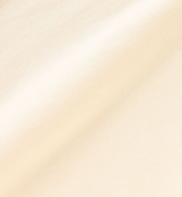 SHIPS any「【WEB限定】SHIPS any: アイビーライク ワンポイント 刺繍 ロゴ スウェット 24FW◇」|スウェット・ジャージ|