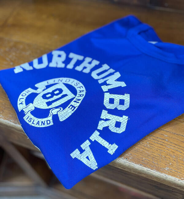 GLOSTER「ヴィンテージ風プリントレーヨンTシャツ」|Tシャツ・カットソー|ブルー