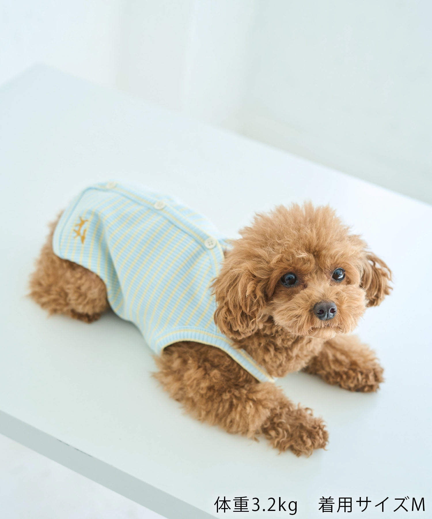 ROPE PICNIC PASSAGE「【DOG】マルチボーダーキャミソール」|その他|