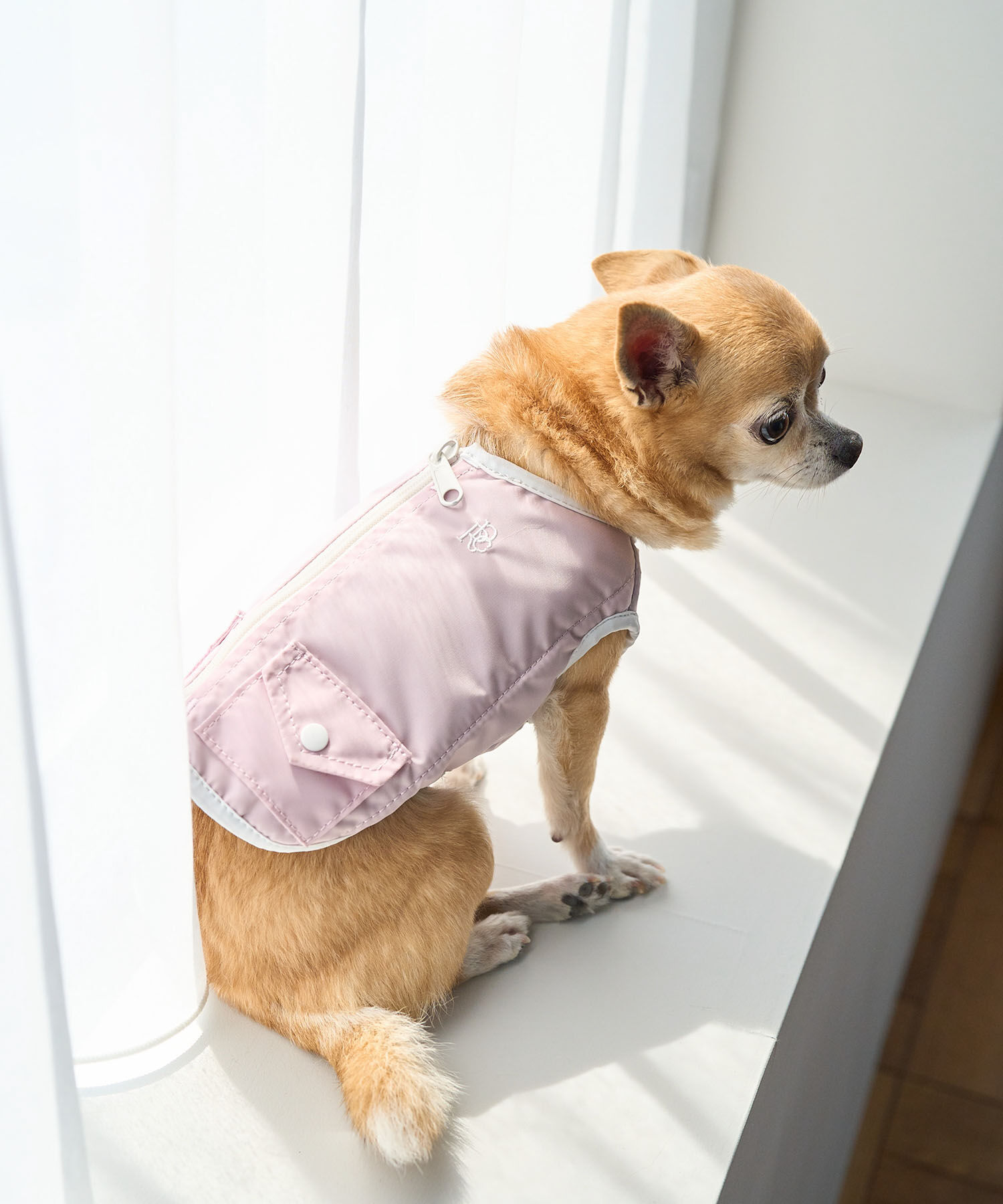 ROPE PICNIC PASSAGE「【DOG】保冷剤ポケット付きCOOLベスト」|その他|