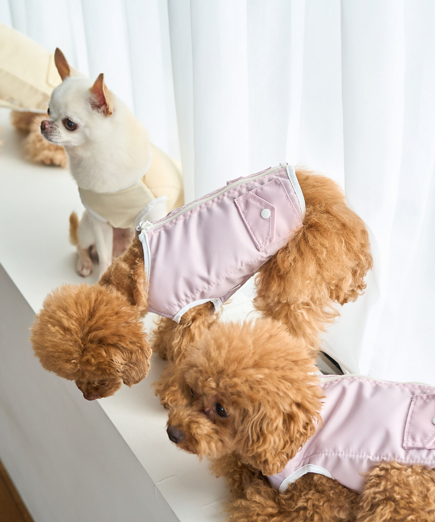 ROPE PICNIC PASSAGE「【DOG】保冷剤ポケット付きCOOLベスト」|その他|